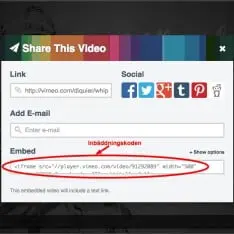 Vimeo
