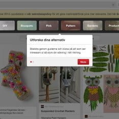 Pinterest-Guided Search
