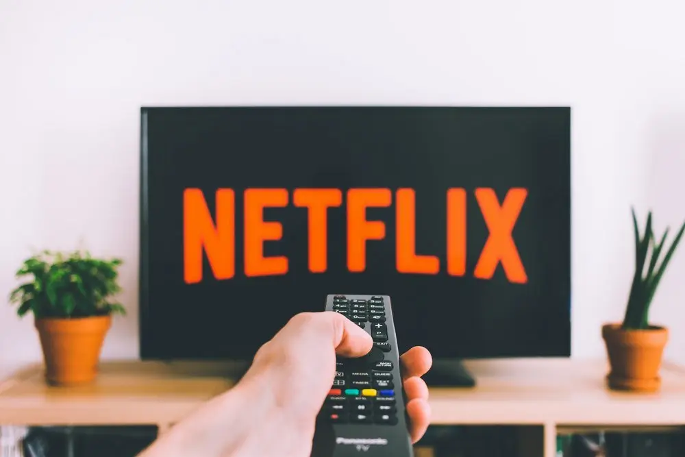 Vad är Netflix?